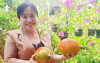 Nữ hoàng Gấc P’Phăng – Từ giọt nắng đỏ đến thương hiệu mang khát vọng vươn xa