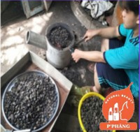 ĐẠT NƯỚNG HẠT GẤC