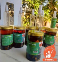 CỒN XOA BÓP HẠT GẤC P’PHĂNG: KHO TÀNG Y HỌC CỔ TRUYỀN CHO SỨC KHỎE XƯƠNG KHỚP