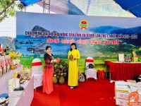 KHU VỰC TRƯNG BÀY CỦA CÁC SẢN PHẨM TRONG TỈNH