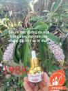 SERUM GẤC DƯỠNG DA MẶT-MỜ ĐỐM ĐEN, ĐỐM NÂU