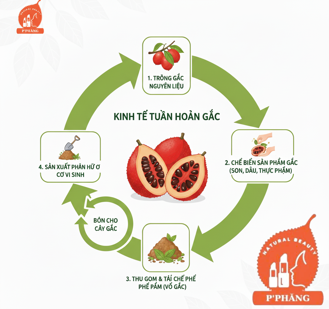 VÒNG TRÒN TRÁI GẤC CÓ LOGO