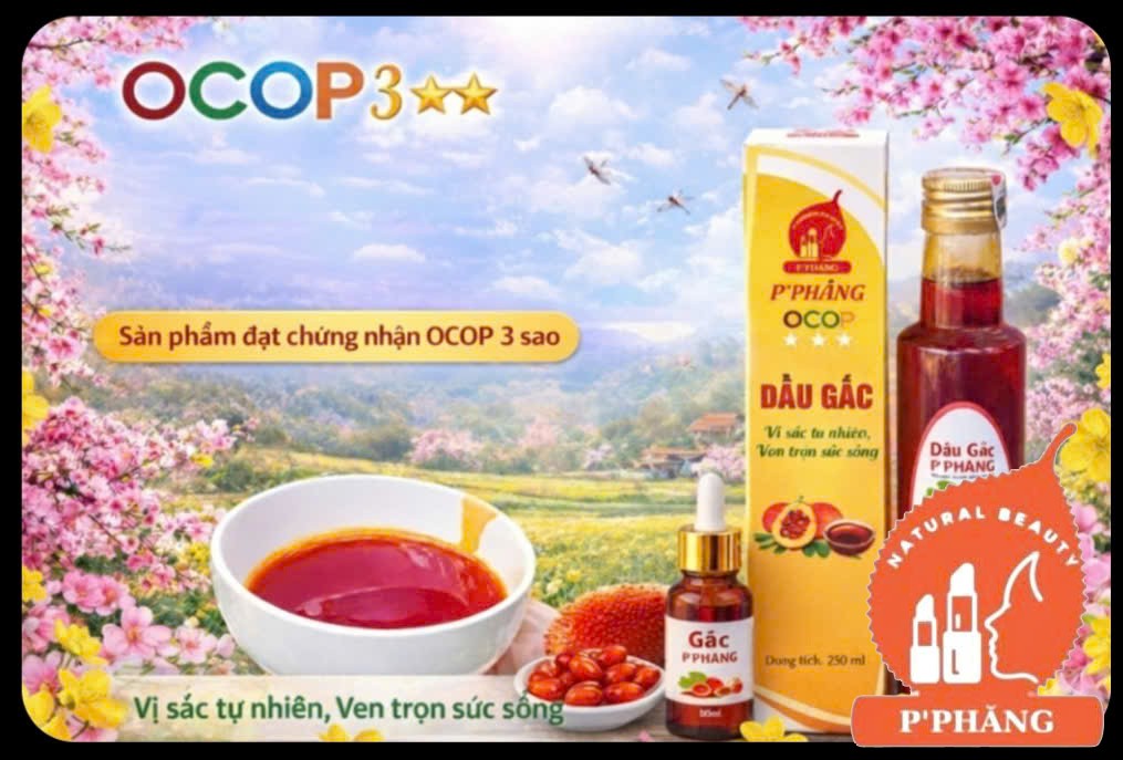 VIÊN DẦU GẤC OCOP 3 SAO