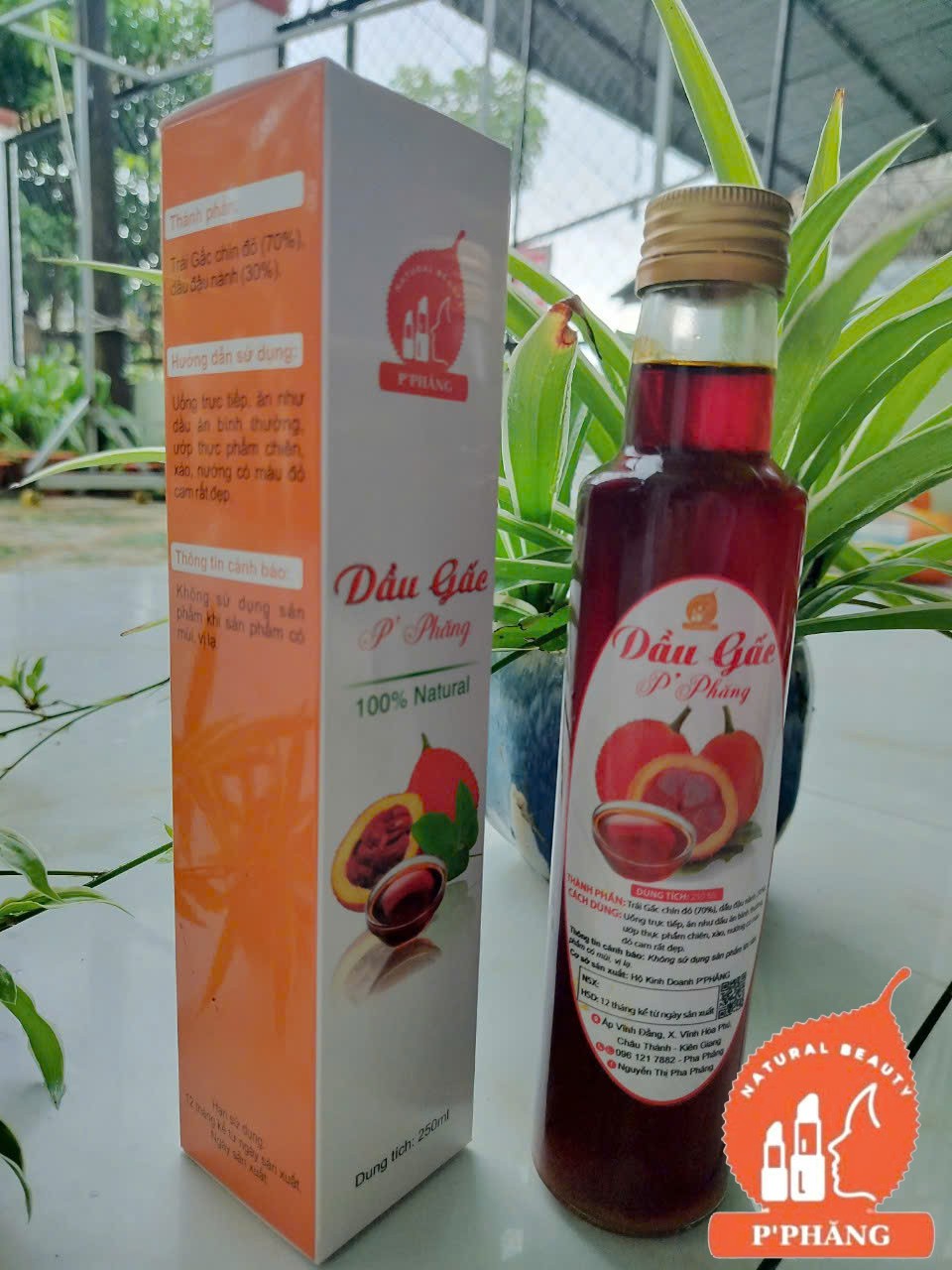 DẦU GẤC P’PHĂNG - TINH TÚY GẤC VIỆT ĐẠT CHUẨN OCOP 3 SAO